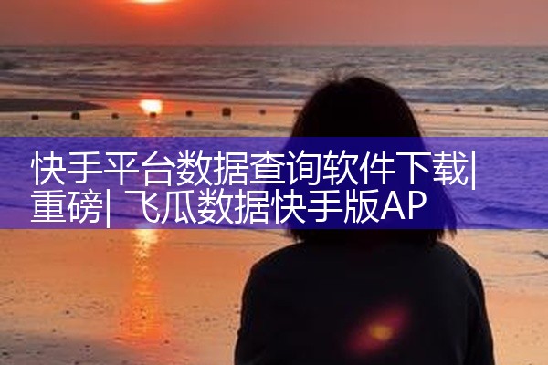 快手平台数据查询软件下载
